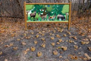 Gra plenerowa „Na tropie zwierząt leśnych" w Osowcu-Twierdzy