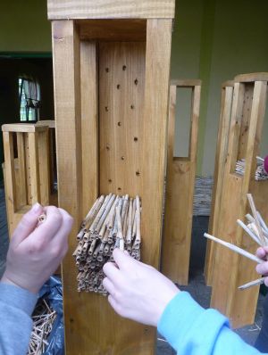 Wypełniając konstrukcję domku trzciną pamiętaj, aby przyciąć trzcinę tak, by nie wystawała na zewnątrz konstrukcji