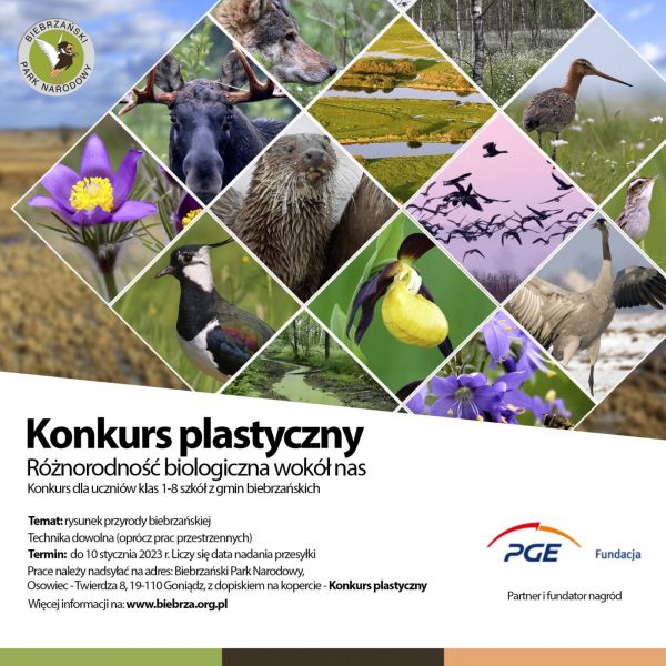 Plakat promujący Konkurs plastyczny pn. „Różnorodność biologiczna wokół nas”