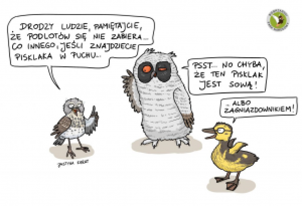 Rysunek komiksowy z ptakami, które ze osobą rozmawiają.