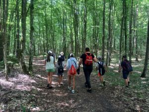 Mała grupa dzieci i dorosłych idąca przez liściasty las. Ujęcie od tyłu ludzi.