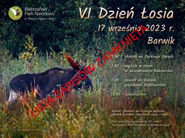 Plakat z łosiem bykiem przechodzącym przez turzycowisko jesienią. Na tym tle informacje tekstowe o wycieczce na bukowisko.