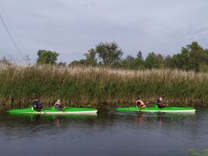 Dwa kajaki z ludźmi wewnątrz płynące rzeką na tle ściany trzcin. Widok od boku płynących.