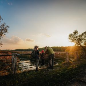 Nastrojowe zdjęcie trzyosobowej rodziny na mostku nad niewielką rzeczką. W tle trzcinowisko i linia lasu z zachodzącym na d...