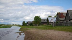 Wieś Jagłowo nad rzeką Biebrzą. Widoczne stodoły stojące nad brzegiem rzeki.