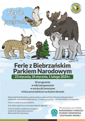 Program Ferii