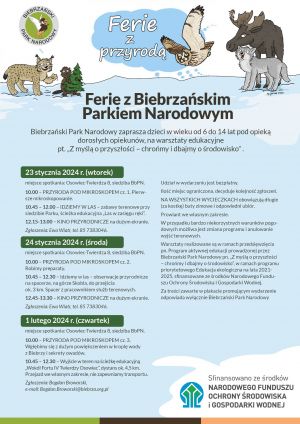 Program Ferii