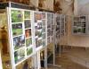 Pokonkursowa wystawa fotograficzna "Las - bogactwo Podlasia"