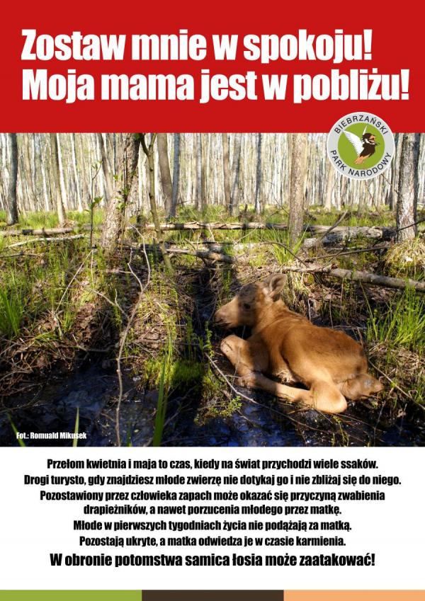 Zostaw mnie w spokoju!