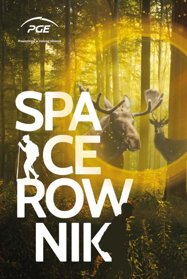 Spacerownik