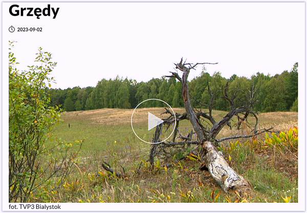 Film o Grzędach