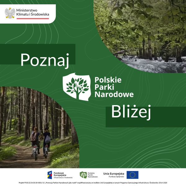 Poznaj polskie parki narodowe bliżej