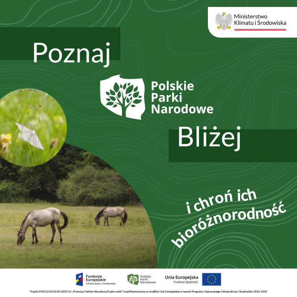 Poznaj polskie parki narodowe