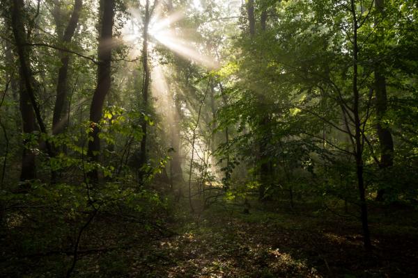 PGE wspiera 11 parków narodowych w Polsce 